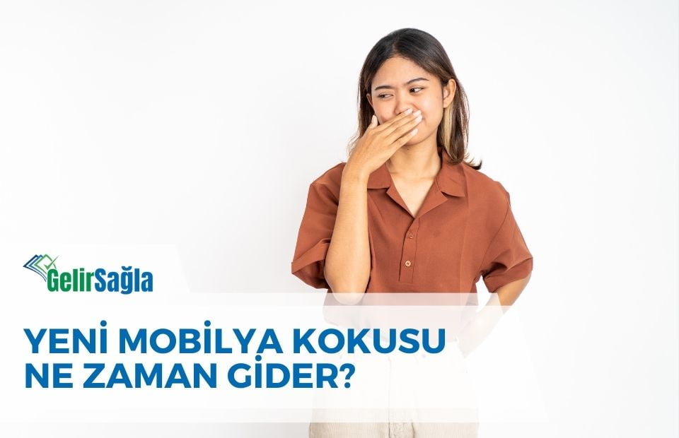 Yeni Mobilya Kokusu Ne Zaman Gider